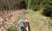 Trail Walking Libramont-Chevigny - Cani trail 5km avec raccourcis  - Photo 1