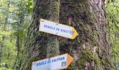 Tour Wandern Bretonvillers - rando gigot  - Photo 5