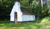 Tour Zu Fuß Chaumont-Gistoux - #181126 - Bonlez, Bois et réserve naturelle de l'Étoile *** - Photo 8