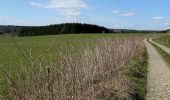 Tour Wandern Neufchâteau - Massul - Bois Molinfaing - Photo 9