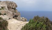 Randonnée Marche Ħad-Dingli - MALTE 2024 / 01 Dingly's Cliffs - Photo 6