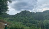 Tour Wandern Étalle - Vallée de Laclaireau et ruines de Montauban - Photo 4