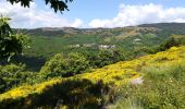 Trail Walking Villefort - Lac Villefort la Garde Guerin, lac de Villefort.(31-05-2020) - Photo 18