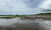 Tour Nordic Walking Vendays-Montalivet - Marais de la Perge - Photo 6