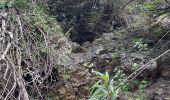 Randonnée Marche Le Tampon - 2023 11-12-reconnaissance de la ravine cascade  - Photo 2