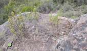 Randonnée Marche Roquebrune-sur-Argens - Sur la piste des trois communes - Photo 15