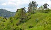 Tour Zu Fuß Gomadingen - Hörnle-Tieringen-Plettenberg - Photo 5