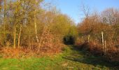 Randonnée Marche Vieux-Moulin - en forêt de Compiègne_26_la Grotte des Ramoneurs_Tournantes de la Queue de Saint-Etienne et sur la Côte de Roilaye - Photo 17