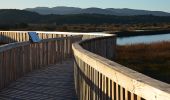 Tocht Stappen Fréjus - Etangs des Esclamandes et de Villepey - Photo 4