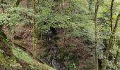 Tour Wandern Steinbach - Cascade de Erzenbach - Photo 9