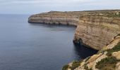 Tour Wandern Ta' Kerċem - MALTE 2024 / 02 : CLIFFS WEST GOZO - Photo 13