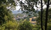 Tocht Stappen Viroinval - Mazée, sur le sentier des Douaniers - Photo 1