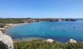 Trail Walking Camaret-sur-Mer - Camaret - Photo 13