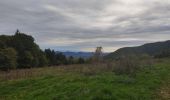 Tour Wandern La Fajolle - La forêt de La Fajolle - Photo 1