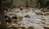 Trail Walking Brissac - Issensac - ravin des arcs  - Photo 6