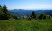 Excursión Senderismo Luttenbach-près-Munster - Autour du Petit Ballon et ses fermes auberges - Photo 10