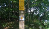 Trail Walking Beauregard-Baret - Pré de 5 sous, pas de la Pierre.en boucle - Photo 4