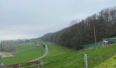 Tour Wandern Frasnes-lez-Anvaing - Oeudeghien 9,2 km - Photo 5