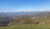 Trail Walking Itxassou - Col des veaux 2024 03 19 - Photo 2