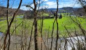 Tour Wandern Bertrix - Auby sur Semois 140324 - Photo 13