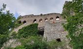 Trail Walking Dambach-la-Ville - Dambach-la-Ville : Circuit des trois châteaux - Photo 10