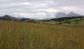Tour Wandern Kastelruth - Seiser Alm - Puflatsch Rundweg zu den Hexenbänken - Photo 1