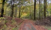 Trail Nordic walking Florenville - Herbeument 9km heen en terug  - Photo 9