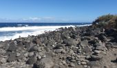 Excursión Senderismo L'Étang-Salé - Boucle autour d'étang salé - Photo 6