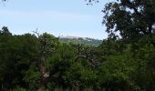 Excursión Senderismo Cogolin - les hauts de Cavalaire - Photo 13