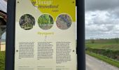 Excursión Senderismo Heuvelland - Dranouter 12,3 km - Photo 3