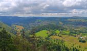 Tocht Stappen Septmoncel les Molunes - mo sentier des lapidaires - Photo 13