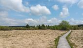 Trail Walking Waimes - petit tour en Brackvenn  - Photo 9
