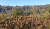 Trail Walking Ham-sur-Heure-Nalinnes - Du Pré al Roch au hameau l'Amérique - Photo 2