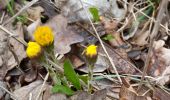 Tour Wandern Nassogne - Nassogne - Photo 2