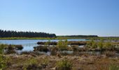 Tour Zu Fuß Fockbek - Rundweg Fockbeker Moor - Photo 1