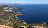 Randonnée Marche Saint-Raphaël - Autour des Pics du Cap Roux  et d'Aurelle depuis Belle Barbe - Photo 3