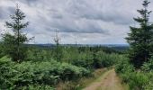 Tocht Stappen Houffalize - rando wibrin 29/07/2021 - Photo 5