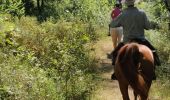 Trail Horseback riding La Crau - Mont Redon  - Photo 1