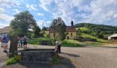 Trail Walking Sainte-Croix-aux-Mines - Le Hury par le Petit-Haut - Photo 2