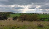 Tocht Stappen Chaudfontaine - autour du bois les dames  - Photo 14