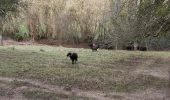 Trail Walking Saint-Pierre-de-Cormeilles - St Pierre de Cormeille - Photo 1