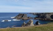 Excursión Senderismo Sauzon - pointe des poulains - Photo 12