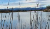 Tour Wandern Fréjus - étangs de Villepey - Photo 12