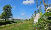 Randonnée Marche Eijsden-Margraten - Mesch 🌸🌼🌺 - Photo 14
