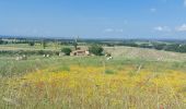 Tour Wandern Montefiascone - CR_Francigena_DM_49_Montefiascone_Viterbe_20230602 - Photo 11