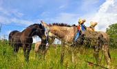 Tocht Stappen Nailly - Boucle 25 km autour de Nailly  - Photo 12