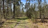 Randonnée Marche Compiègne - en forêt de Compiègne_48_sur les Routes de la Mariolle et du Grand Veneur - Photo 6