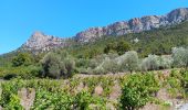 Randonnée Marche Tautavel - les gorges . tautavel par les vignes  ..  retour par la vallée - Photo 6