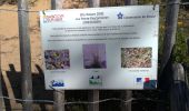 Trail Walking Saint-Cyr-sur-Mer - ,St Cyr la dune et calanque d'alon - Photo 4