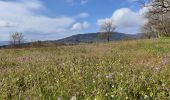 Tour Wandern Pélussin - Randonnée du tacot à Pelussin  - Photo 19